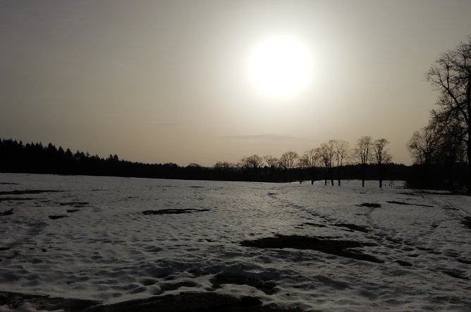 Bei Sophienhof (Foto: W.J&ouml;rgens)