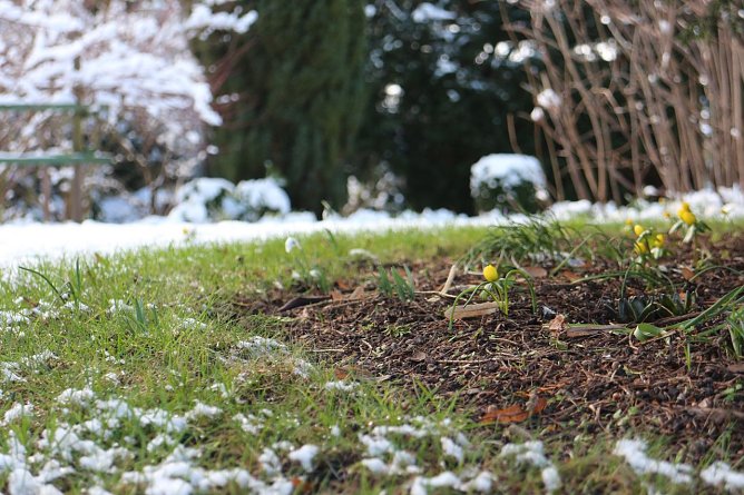 Wetterbild (Foto: agl)