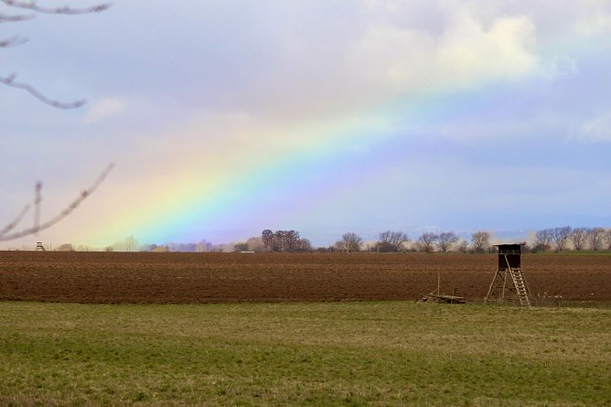 Regenbogen am Stausee Kelbra (Foto: Eva Maria Wiegand) Regenbogen am Stausee Kelbra (Foto: Eva Maria Wiegand)