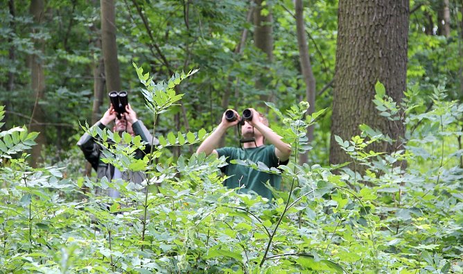 Bundeswaldinventur (Foto: ThüringenForst) Bundeswaldinventur (Foto: ThüringenForst)