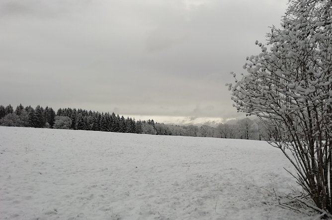 Unser letztes Winterbild - versprochen! Oberharzer Landschaft heute morgen (Foto: W.J&ouml;rgens)