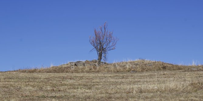 Der Fr&uuml;hling l&auml;&szlig;t weiter auf sich warten (Foto: oas)