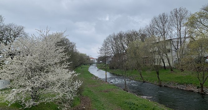 Zorgeufer in Nordhausen (Foto: oas) Zorgeufer in Nordhausen (Foto: oas)