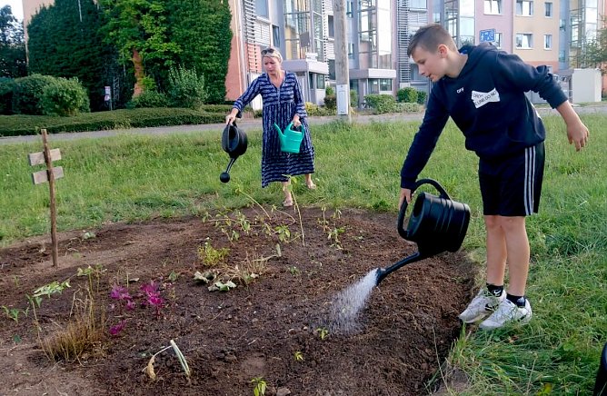 Essbare Stadt-Projekt in Sondershausen (Foto: Katrin Sieber von Projekt Essbare Stadt) Essbare Stadt-Projekt in Sondershausen (Foto: Katrin Sieber von Projekt Essbare Stadt)