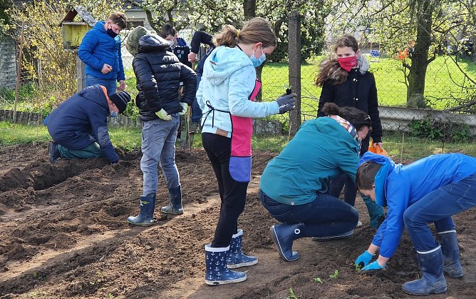 Gem&uuml;se-Ackerdemie in Hohenebra (Foto: I.Urland)