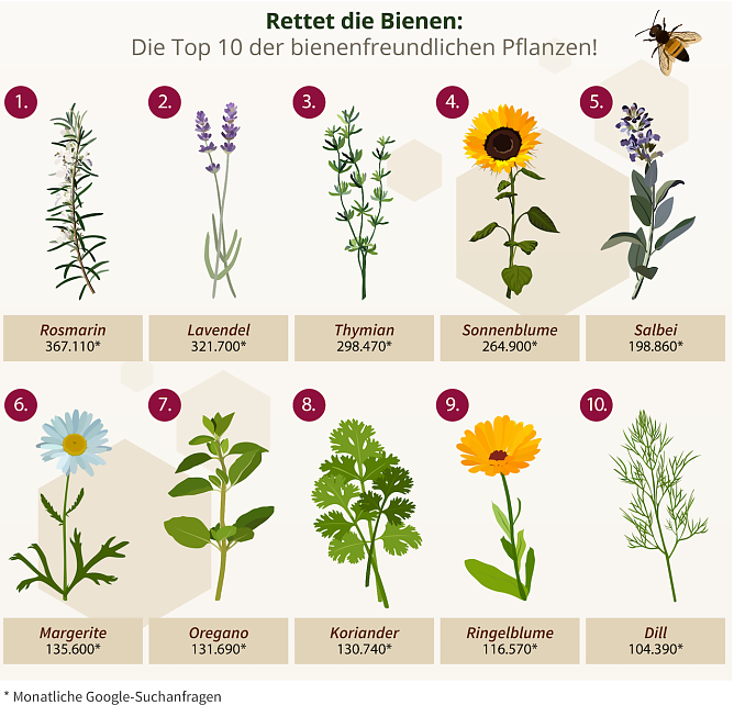 Die beliebtesten Pflanzen der Bienen (Foto: Heimwerker.de) Die beliebtesten Pflanzen der Bienen (Foto: Heimwerker.de)