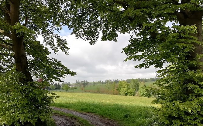 Blick auf Sophienhof (Foto: W.Jörgens) Blick auf Sophienhof (Foto: W.Jörgens)