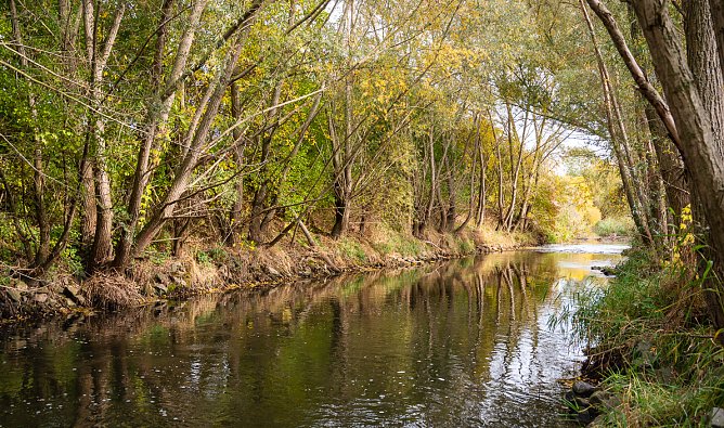 Die Wipper (Foto: Jana Groß) Die Wipper (Foto: Jana Groß)