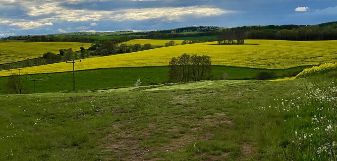 Bei Limlingerode (Foto: oas) Bei Limlingerode (Foto: oas)