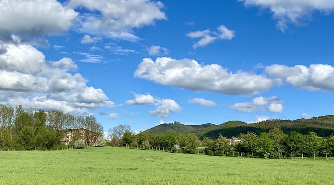 Am Stausee Kelbra (Foto: oas) Am Stausee Kelbra (Foto: oas)