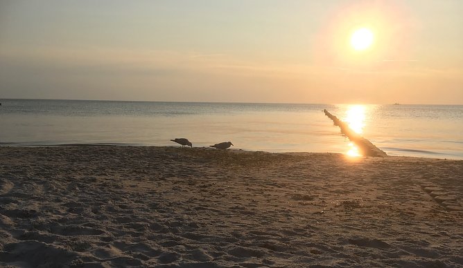 Sonnenuntergang bei Ahrenshoop (Foto: oas)