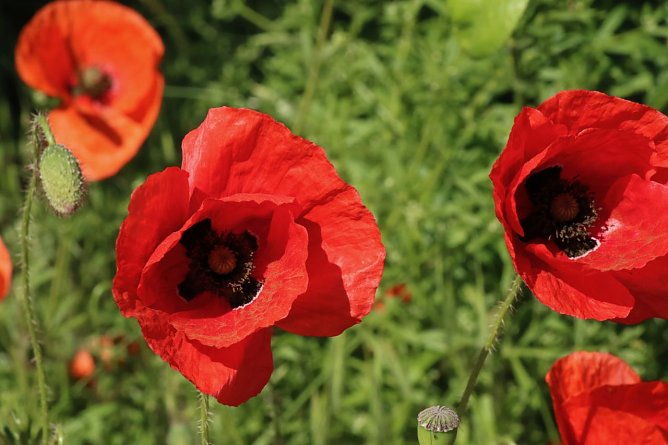 Wetterbild (Foto: agl) Wetterbild (Foto: agl)