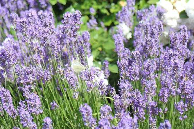 Wetterbild (Foto: agl) Wetterbild (Foto: agl)