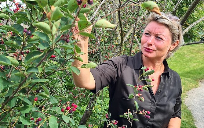 Im Garten der Generationen (Foto: Kartin Sieber)