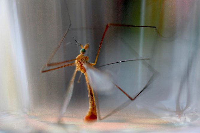 Wer tanzt denn da? (Foto: Eva Maria Wiegand)