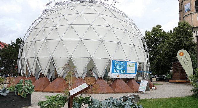 Der klimapavillon in der Nordh&auml;user Altstadt (Foto: A.Apel)