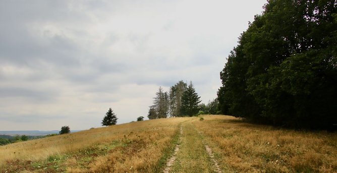 Wetterbild (Foto: agl) Wetterbild (Foto: agl)