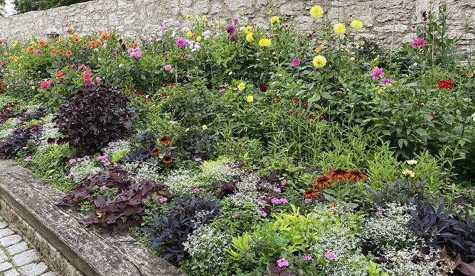 Eingang zum Arboretum in Bad Langensalza (Foto: oas)