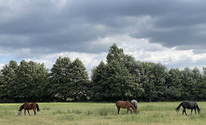 In der Windlücke (Foto: oas) In der Windlücke (Foto: oas)