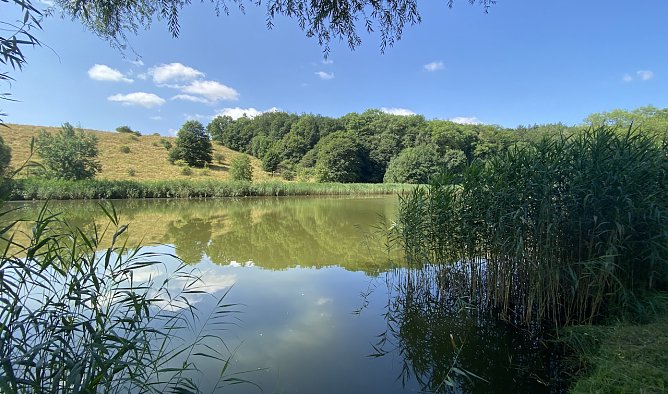 Hirschenteich bei Nordhausen-Salza (Foto: oas)