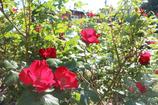 Wetterbild (Foto: agl)