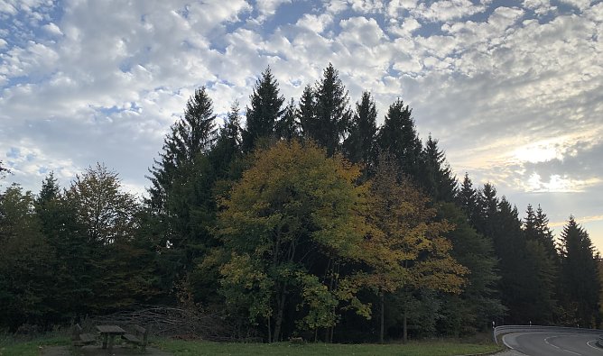 Im Ostharz (Foto: oas)