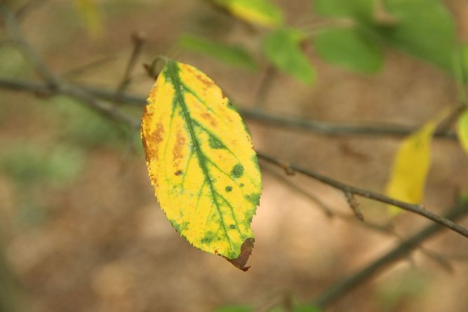 Wetterbild (Foto: agl)