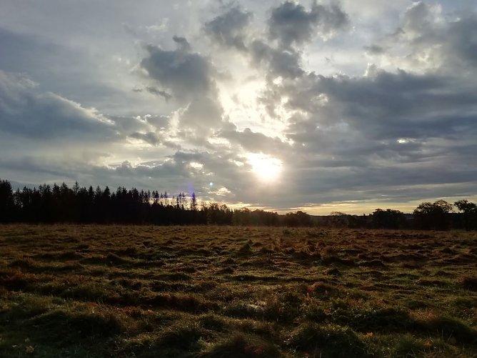 Bei Sophienhof begl&uuml;ckte uns der Herbst heute morgen noch mit Sonnenschein (Foto: W. J&ouml;rgens)