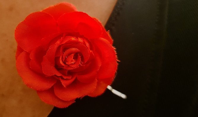 Die Zuschauer konnten sich gestern Abend eine rote Rose "anstecken" (Foto: privat)