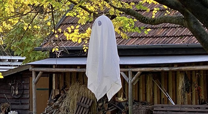 Geister erscheinen an Halloween schon vormittags (Foto: oas)