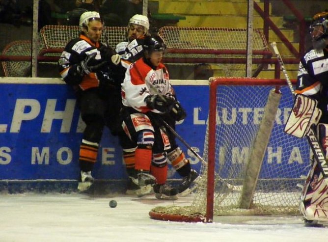 w&ouml;lfe (Foto: w&ouml;lfe)