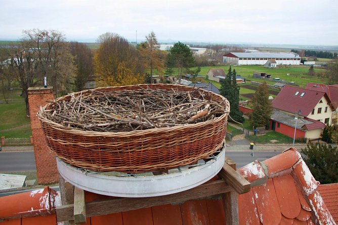 So sieht das neue Domizil f&uuml;r die Ringelebener St&ouml;rche aus (Foto: Henri Fensterer)