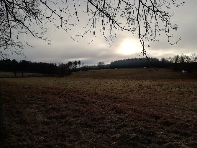 Ein wenig Nebel, ein wenig Sonne, Windstill und Null Grad - so pr&auml;sentierte sich heute morgen der Harz bei Sophienhof (Foto: W. J&ouml;rgens)