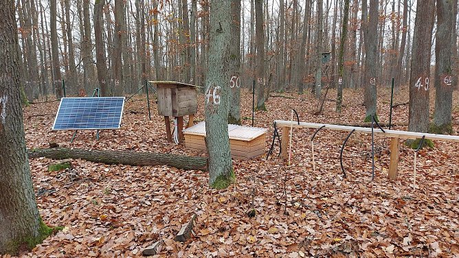 Eine der insgesamt 15 Waldmessstationen der ThüringenForst-AöR (Foto: Ines Chmara) Eine der insgesamt 15 Waldmessstationen der ThüringenForst-AöR (Foto: Ines Chmara)