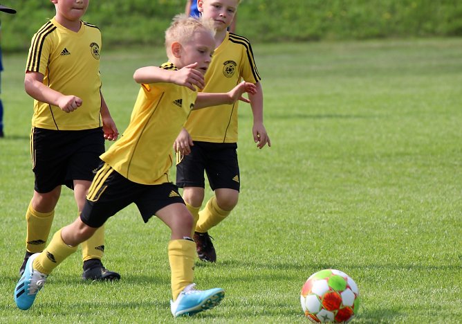 Nachwuchs beim BSV Eintracht in Sondershausen (Foto: Eva Maria Wiegand) Nachwuchs beim BSV Eintracht in Sondershausen (Foto: Eva Maria Wiegand)