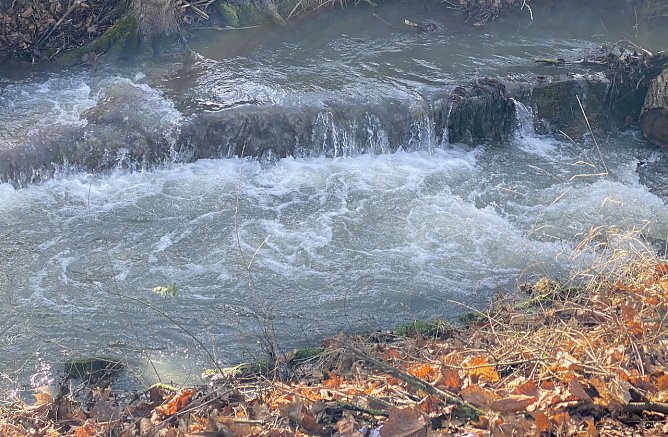 An der Salza in Bad Langensalza (Foto: oas) An der Salza in Bad Langensalza (Foto: oas)