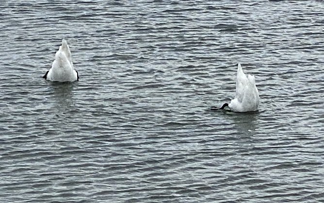 Am, auf und im Stausee  (Foto: oas)
