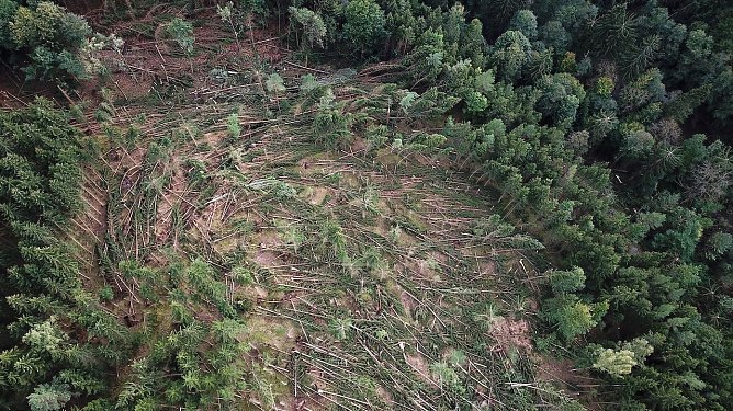 Orkanst&uuml;rme k&ouml;nnen im Wald, wie hier im Schwarzatal 2018, sehr lokal, daf&uuml;r umso zerst&ouml;rerischer wirken (Foto: Ronald Stein)