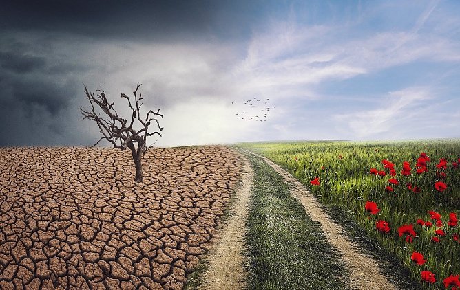 Klimawandel (Foto: Picabay-ELC21)
