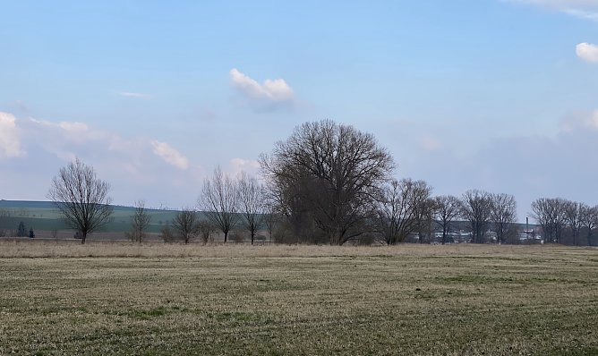 Frühlingshafte Tage, aber kalte Nächte bleiben uns erhalten (Foto: oas) Frühlingshafte Tage, aber kalte Nächte bleiben uns erhalten (Foto: oas)