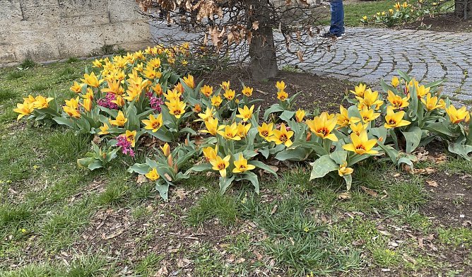 Ab Samstag freundliches Osterwetter (Foto: oas) Ab Samstag freundliches Osterwetter (Foto: oas)
