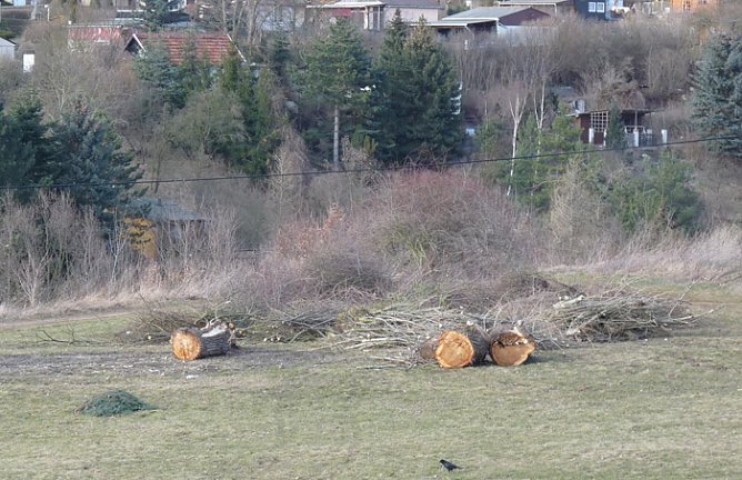 Winterwetter 2 (Foto: Karl-Heinz Herrmann) Winterwetter 2 (Foto: Karl-Heinz Herrmann)