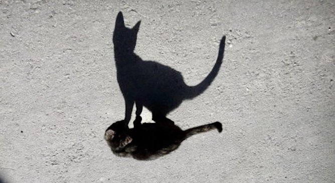 Wer ist denn jetzt echt? (Foto: Eva Maria Wiegand) Wer ist denn jetzt echt? (Foto: Eva Maria Wiegand)