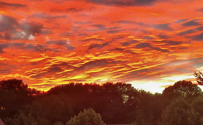Unser Wetterbild kommt heute aus Hainrode. Gisela M&uuml;ller gelang dieser sch&ouml;ne Schnappschuss vom "Himmel in Flammen" gestern Abend (Foto: G. M&uuml;ller)