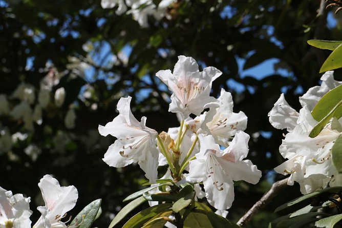 Wetterbild (Foto: agl) Wetterbild (Foto: agl)