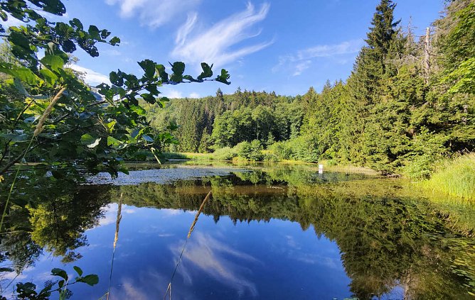 Bei Neustadt/Harz (Foto: Peter Blei)