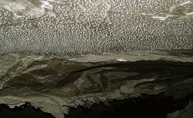 Kristalldecke in der Barbarossahöhle (Archiv) (Foto: Nationalen GeoPark Kyffhäuser - Anke Schreier) Kristalldecke in der Barbarossahöhle (Archiv) (Foto: Nationalen GeoPark Kyffhäuser - Anke Schreier)