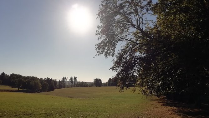 So&uuml;phienhof im harz meldet heute Morgen 4&deg;C. Aber Sonnenschein! (Foto: W.J&ouml;rgens)