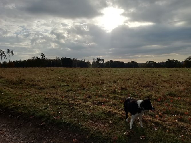 Sechs Grad frisch präsentierte sich der Tag heute in Sophienhof (Foto: W. Jörgens) Sechs Grad frisch präsentierte sich der Tag heute in Sophienhof (Foto: W. Jörgens)