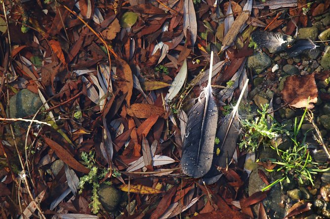 Wetterbild (Foto: agl) Wetterbild (Foto: agl)